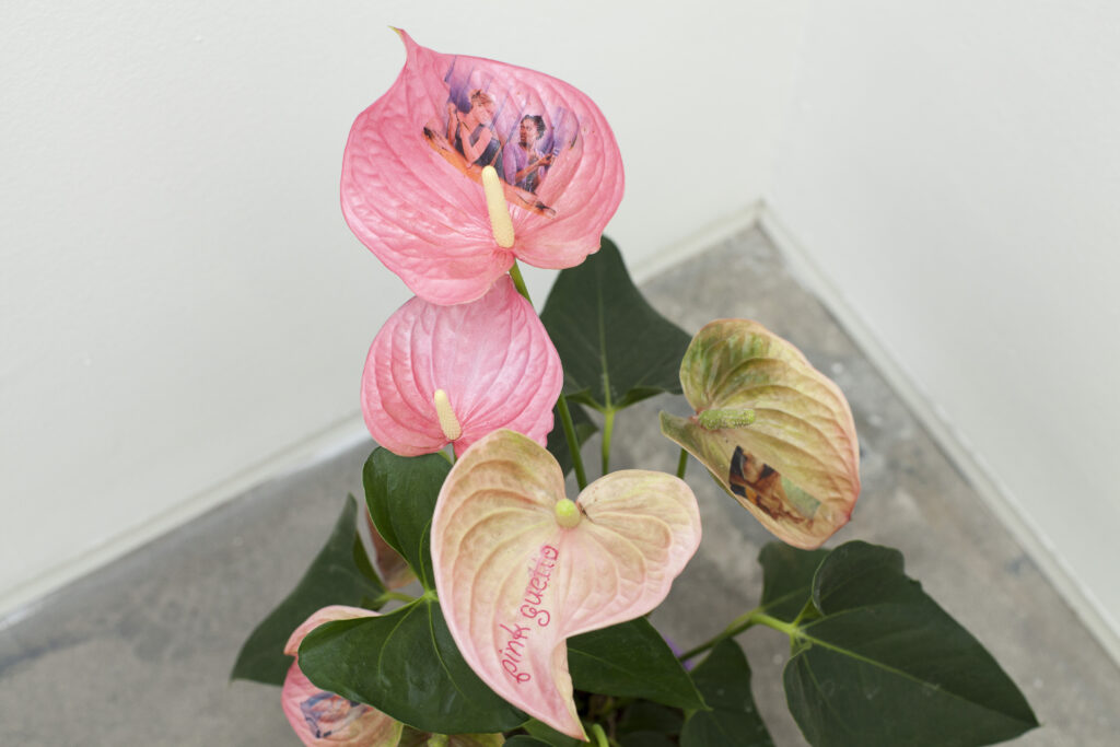 “Ariadna nunca fue nuestra diosa” (Ariadne was never our goddess) by Maria Alcaide