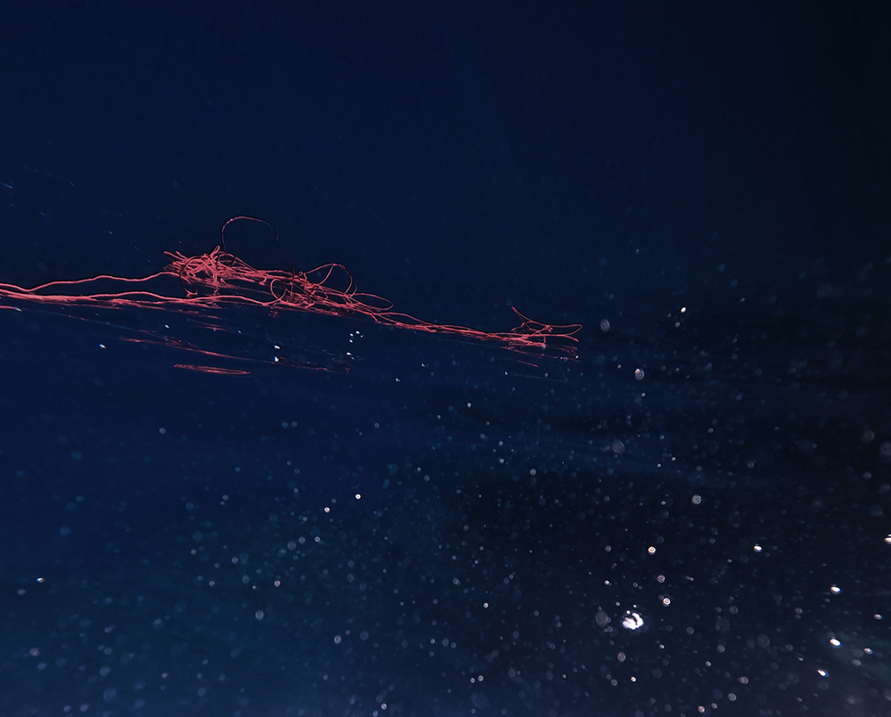 RARO-On-Site-Projects_Fabrizio-Contarino_Meddle