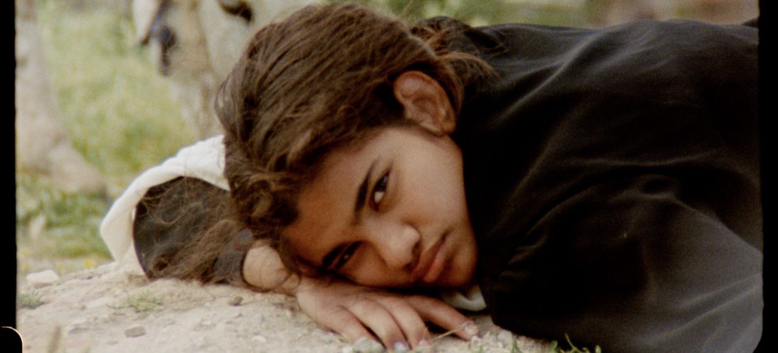 “A Night We Held Between” by Noor Abed, conversation with curatorial duo LaOtra