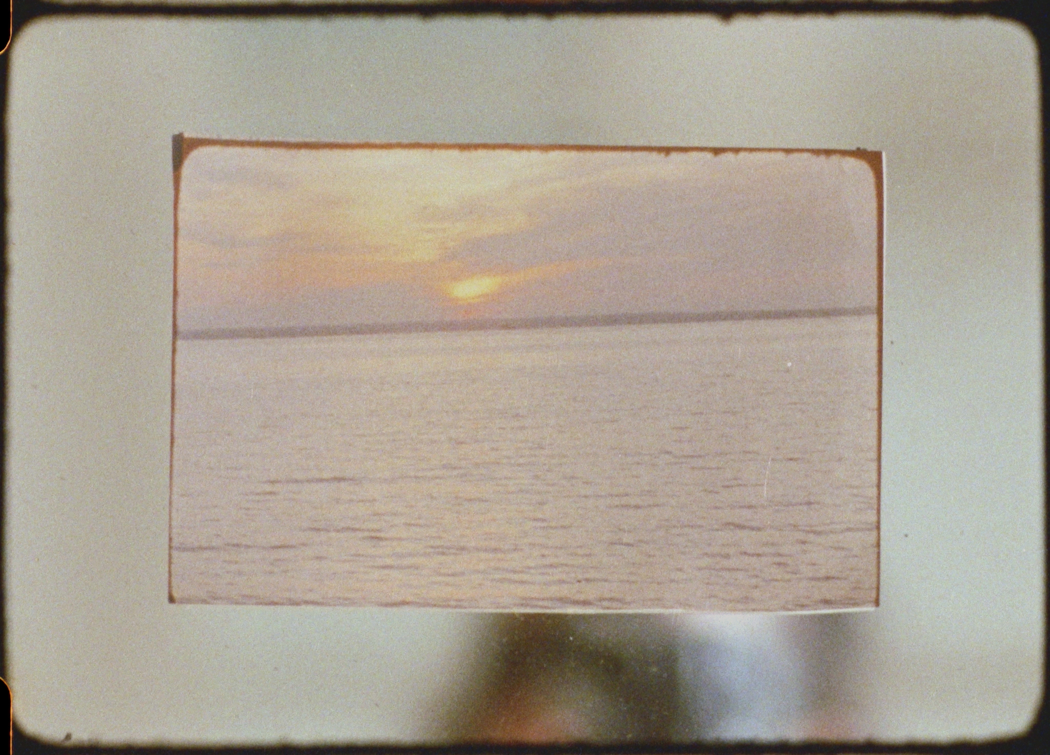 Cossos sonors. Valentina Alvarado Matos “Vaig raspant el fuell i la veu” x L’Alternativa