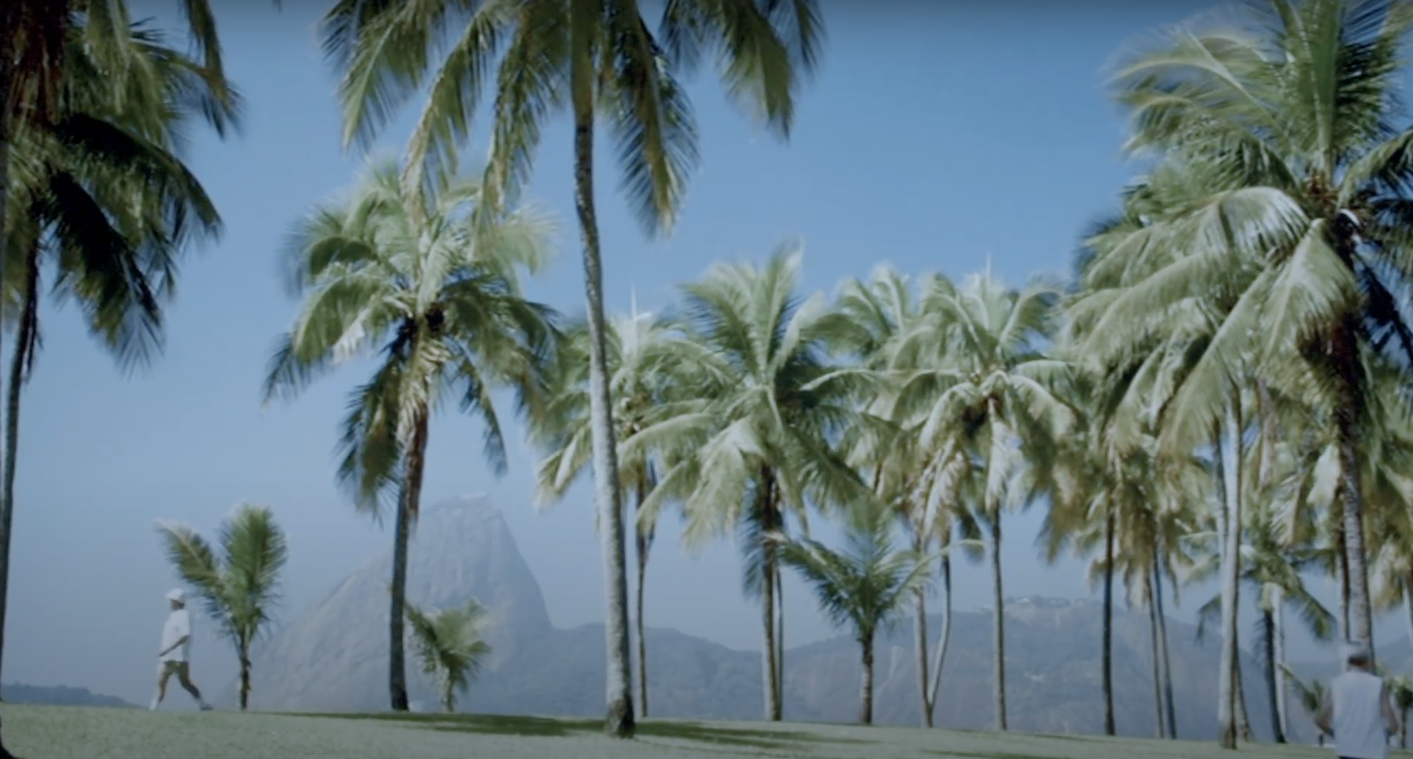 (Somewhere between) The Wind and the Dove”, screening and exhibition