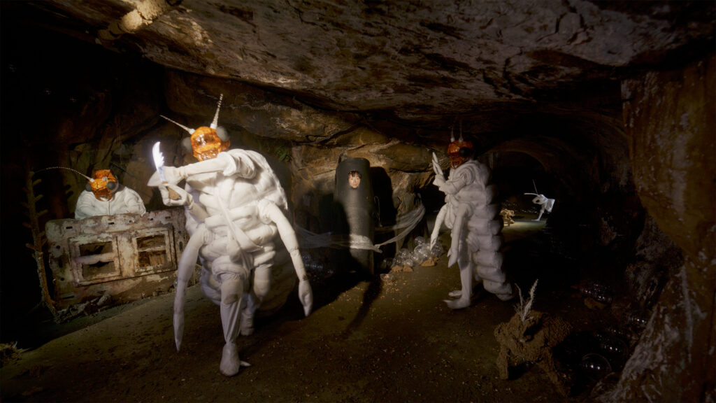 Termite feeding show