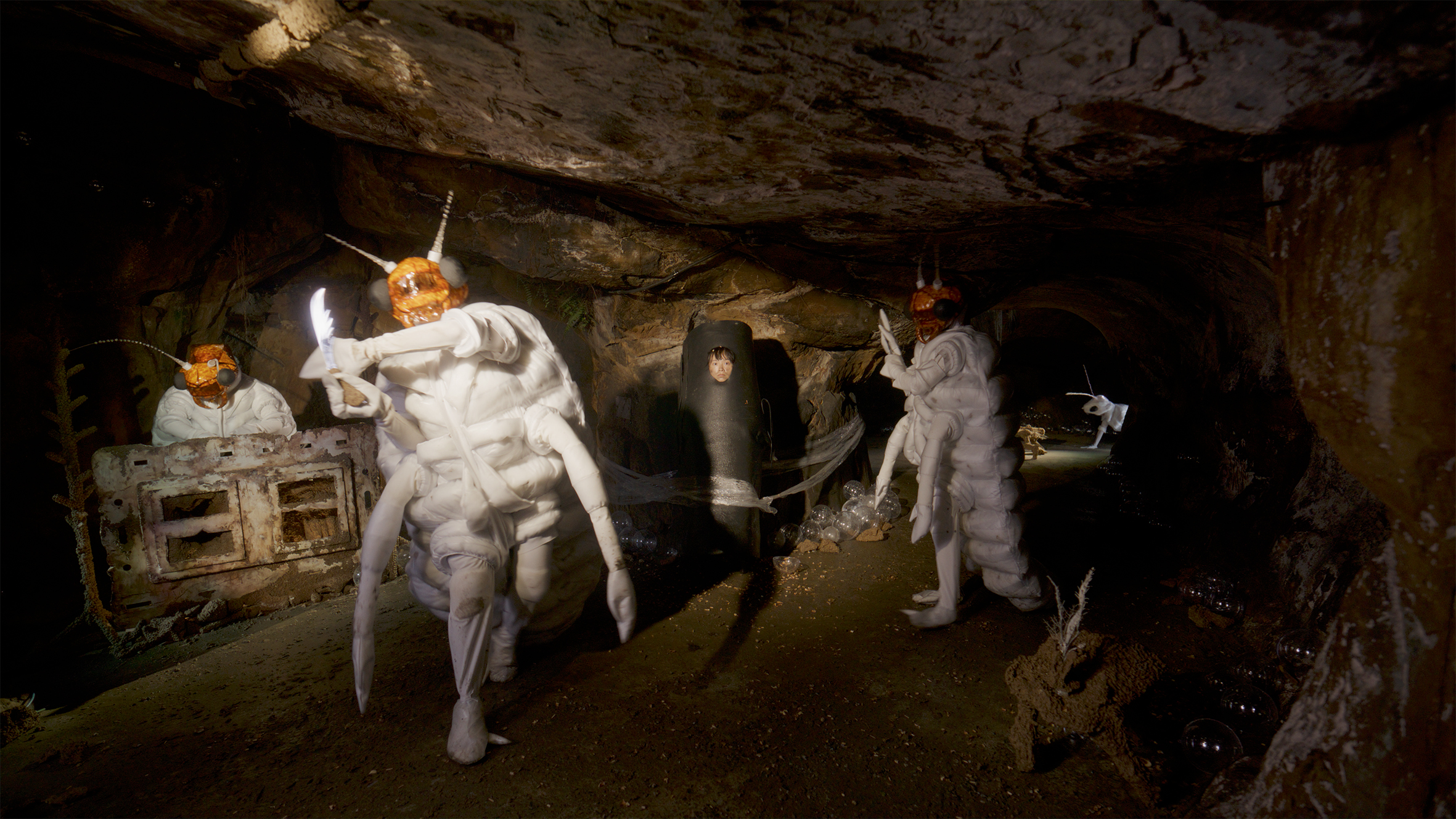 Termite feeding show