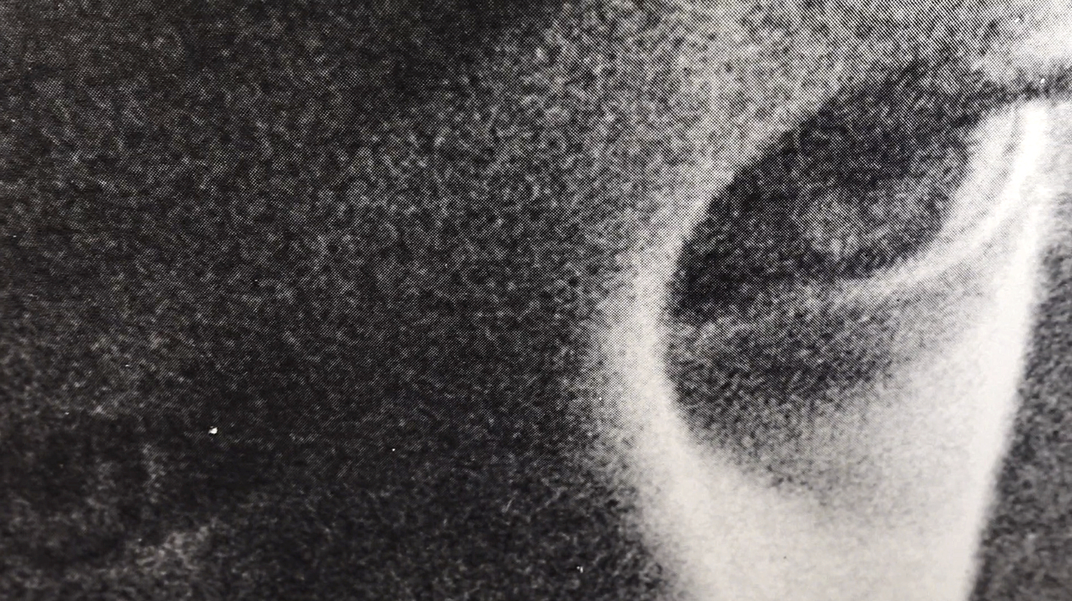 Filipa Ramos to be the Artistic Director of Loop Festival 2025