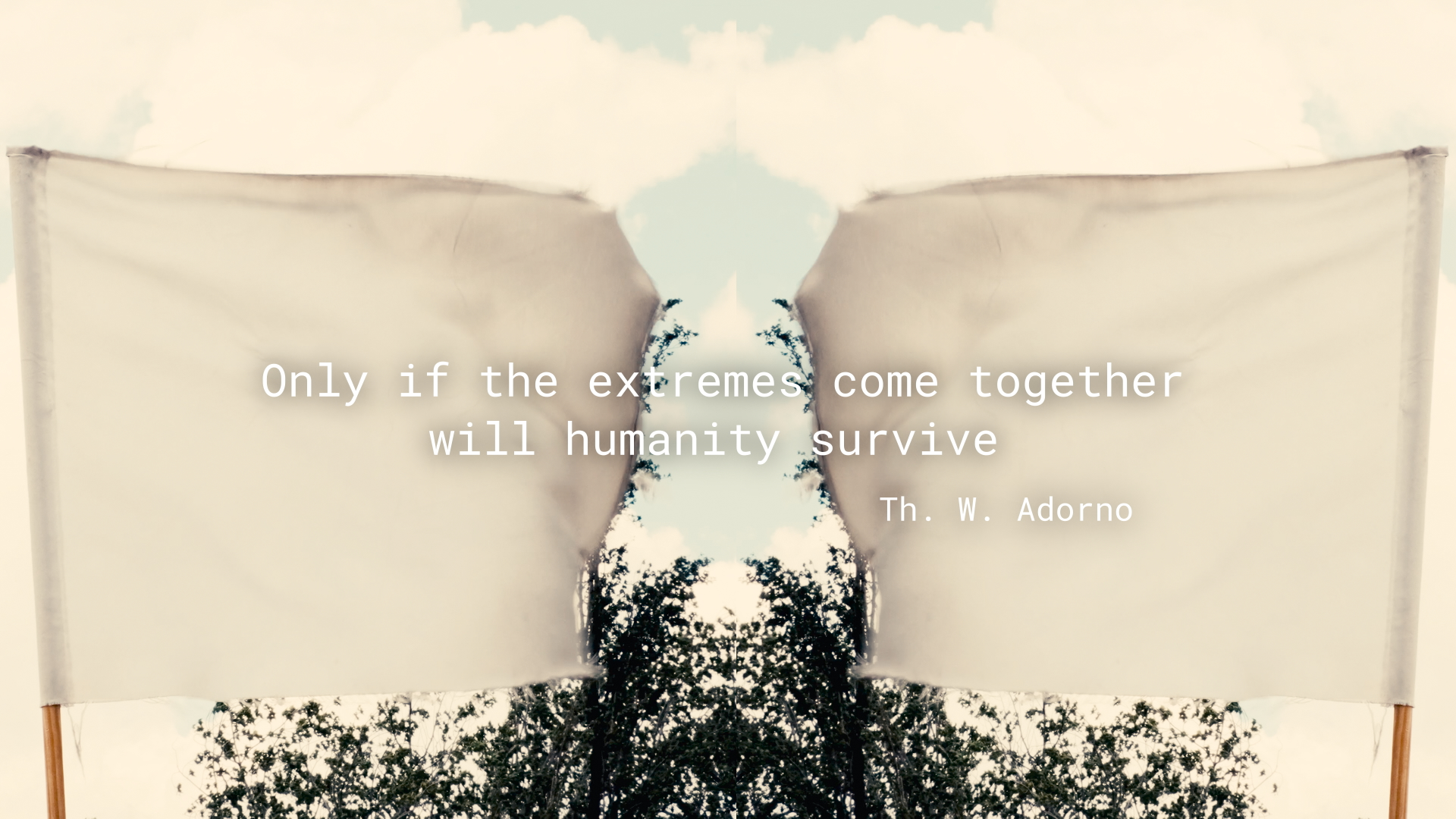 Political World | Mundo Político