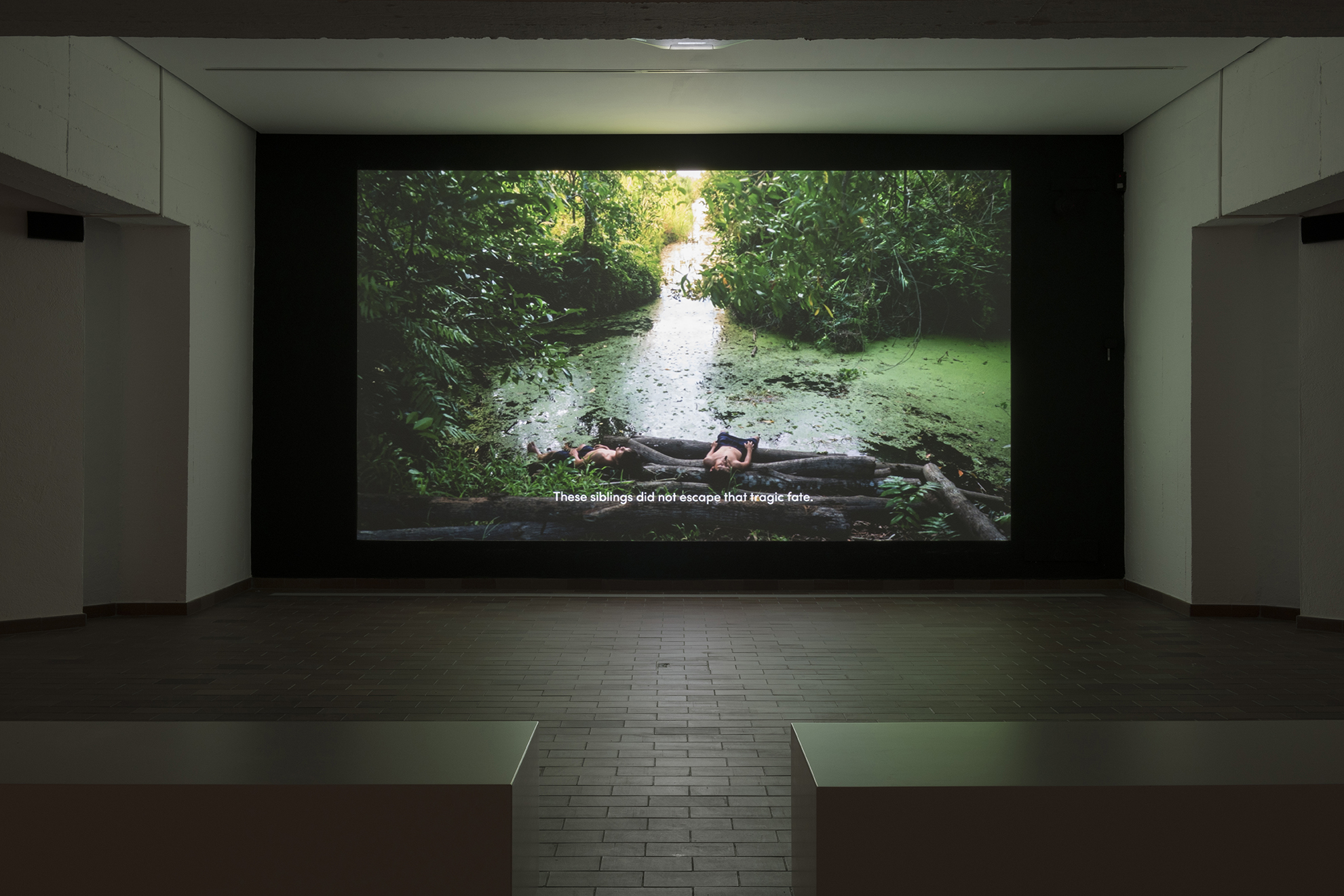 Video Co-Productions